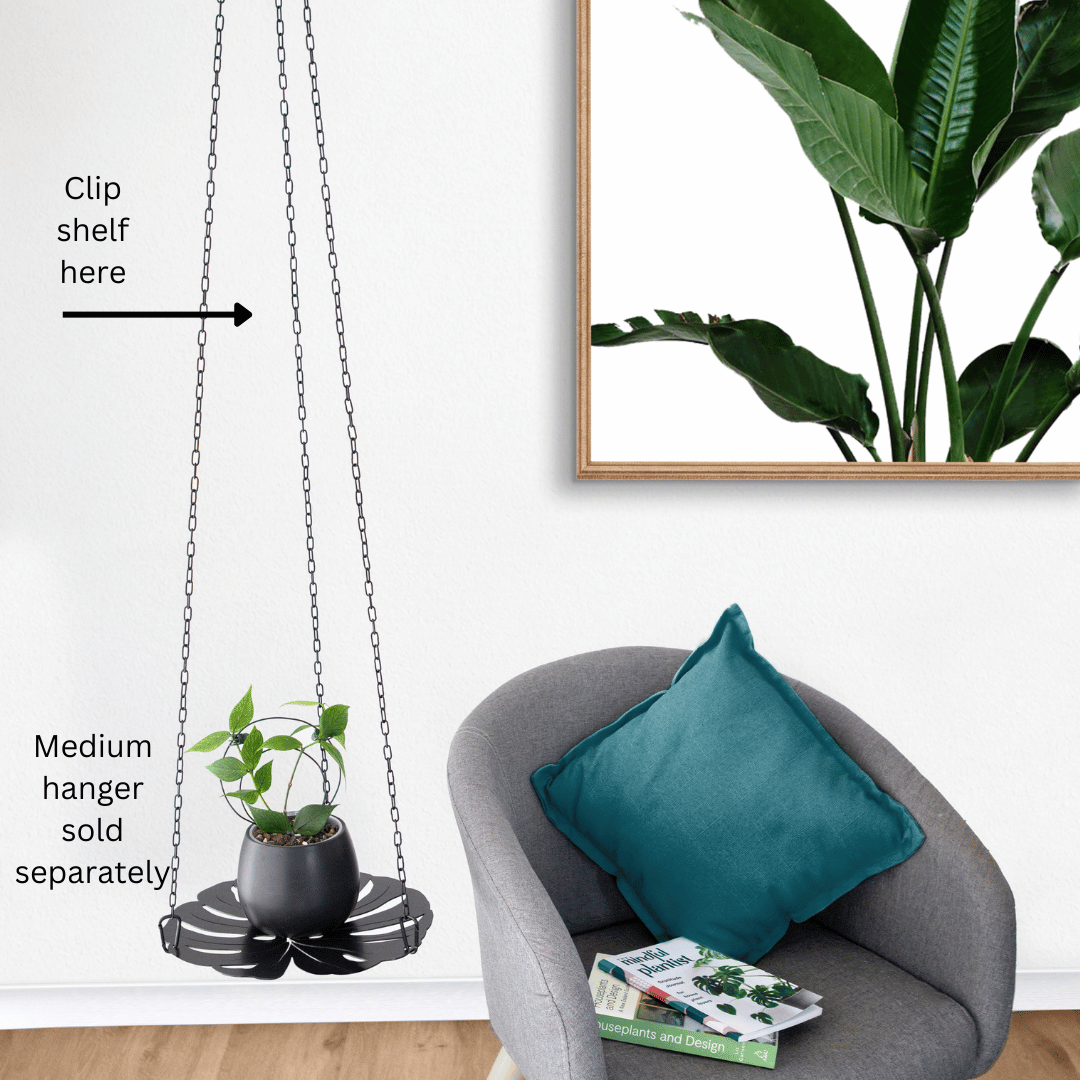 MEDIUM - Monstera - Shelf ADD-ON