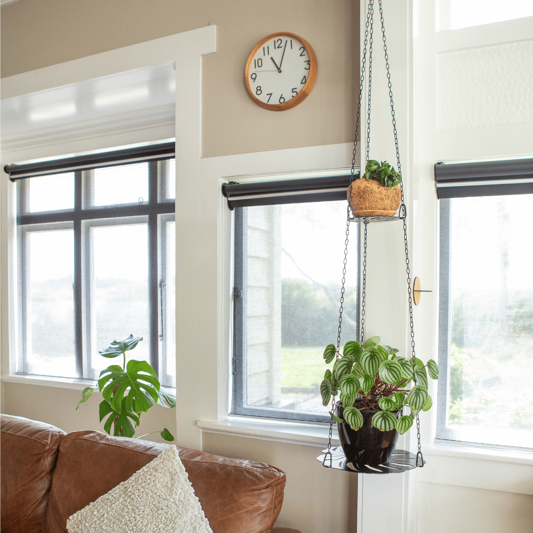 MEDIUM - Monstera - Shelf ADD-ON
