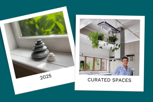 Houseplant Trends in 2025 - Curating spaces