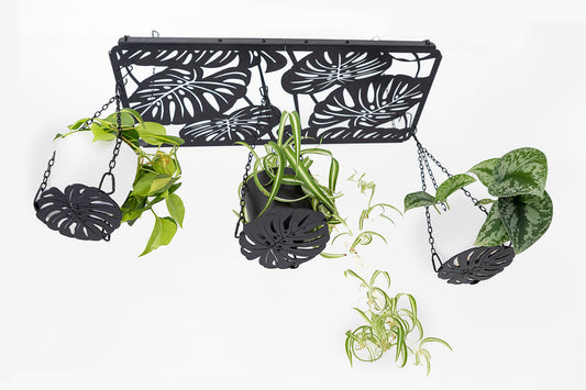 hanging plant rack to display multiple houseplants