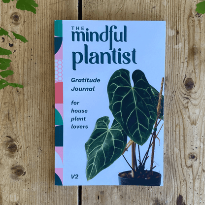 anthurium journal The Mindful Plantist