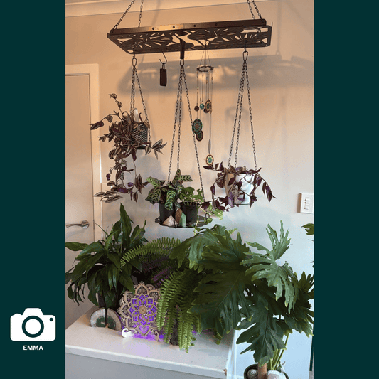 Inspiration Gallery 5