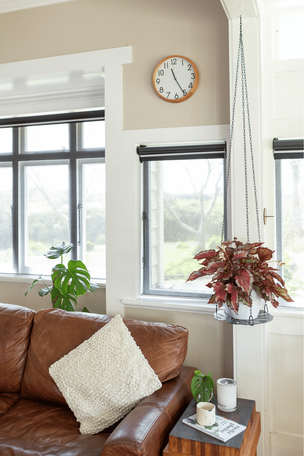 Hanging Plant Rack Black Lasercut Steel next to couch with Begonia Rex