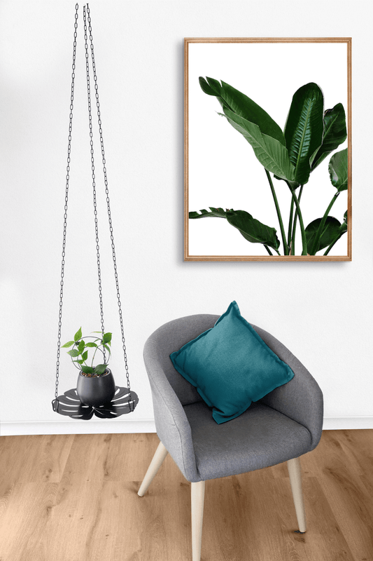 Hanging plant tray with long 1.5m chain with fishtail hoya laser cut steel monstera design