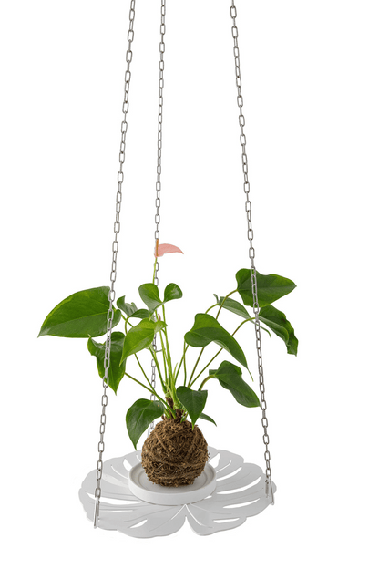 White laser cut steel monstera plant hanger