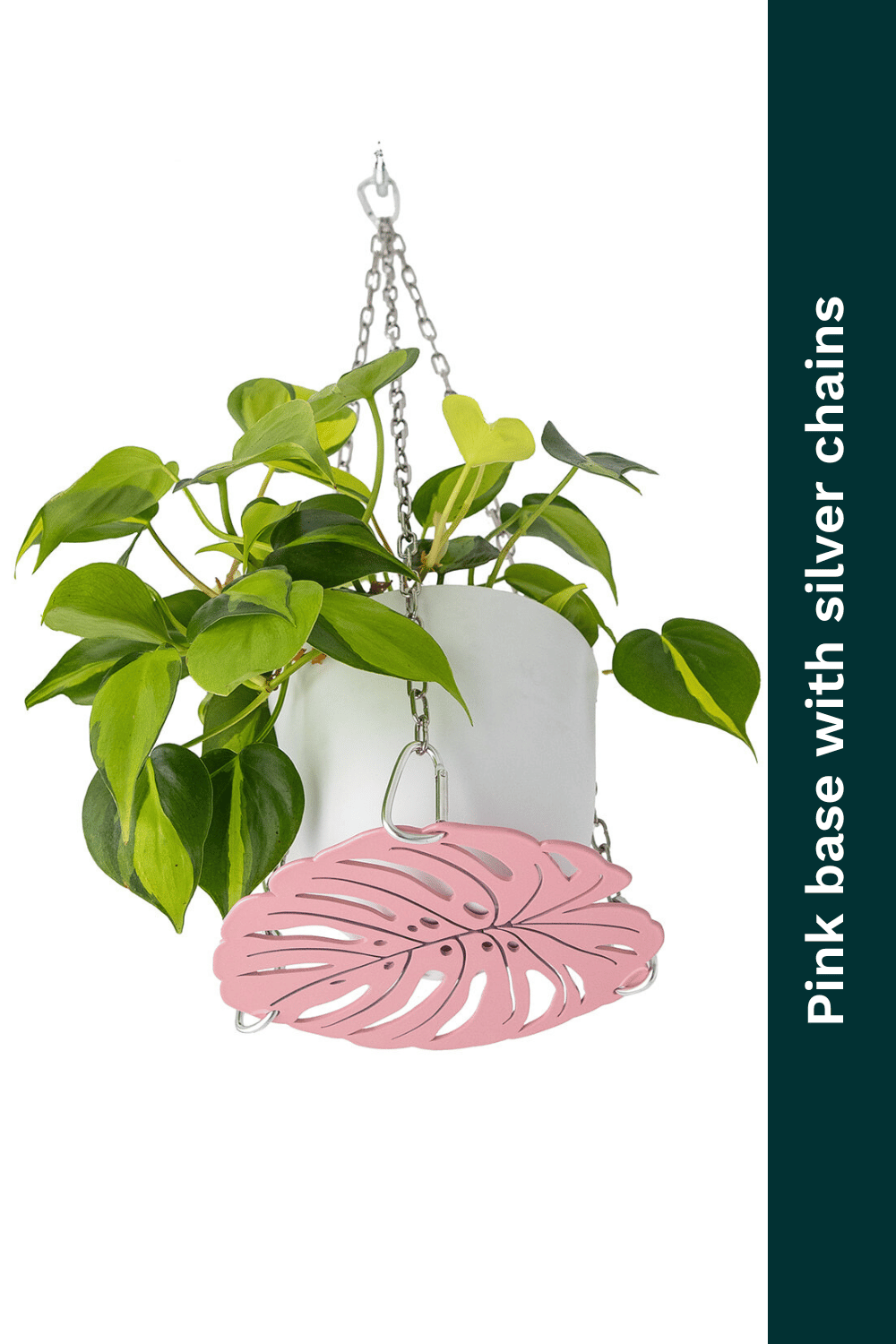 Pink monstera plant hanger with silver chain