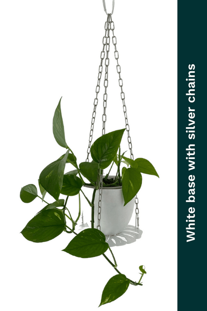 white monstera plant hanger with silver chain