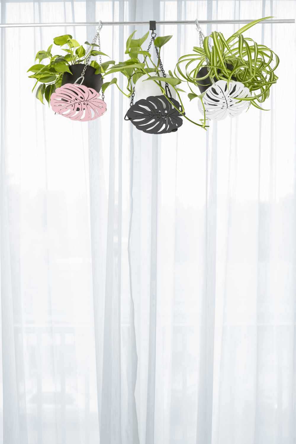 Pink black white monstera plant hangers