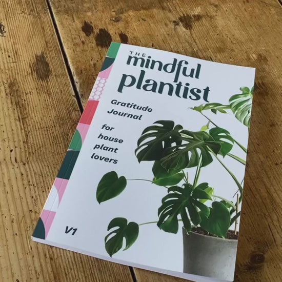 Gratitude journal for houseplant lovers video showing internal pages