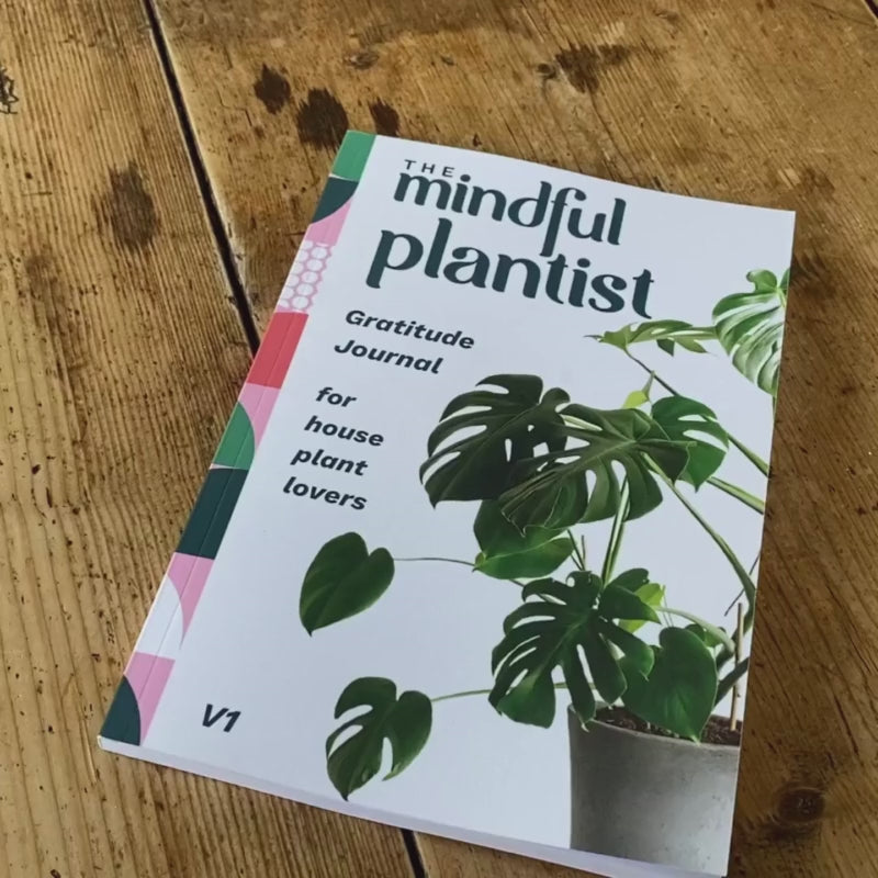 Gratitude journal for houseplant lovers video showing internal pages